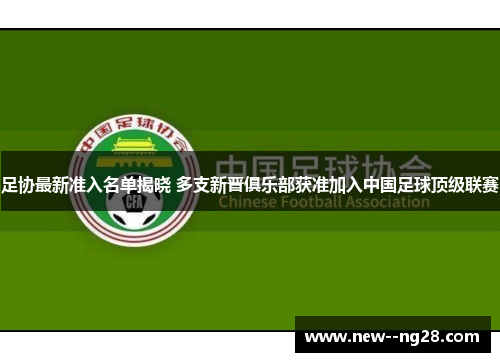 足协最新准入名单揭晓 多支新晋俱乐部获准加入中国足球顶级联赛