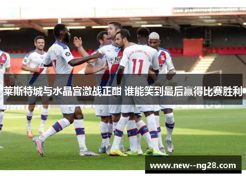 莱斯特城与水晶宫激战正酣 谁能笑到最后赢得比赛胜利 莱斯特城与水晶宫激战正酣 谁能笑到最后赢得比赛胜利