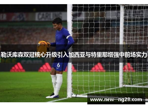 勒沃库森双冠核心升级引入加西亚与特里耶增强中前场实力